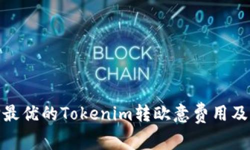 : 如何选择最优的Tokenim转欧意费用及手续费策略