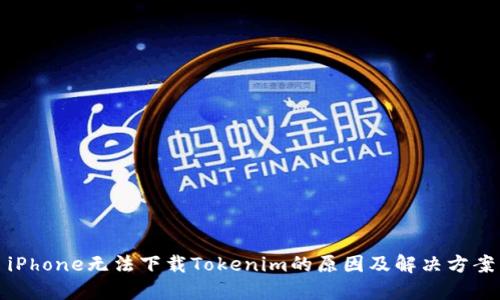iPhone无法下载Tokenim的原因及解决方案