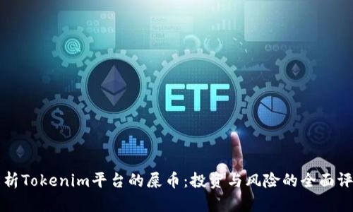 解析Tokenim平台的屎币：投资与风险的全面评估