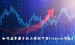 如何在苹果手机上顺利下