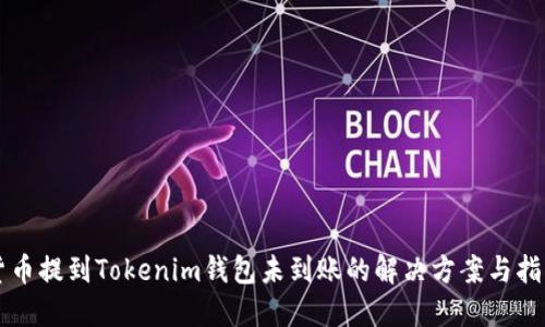 货币提到Tokenim钱包未到账的解决方案与指南
