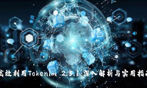 高效利用Tokenim 2.5.1：深入解析与实用指南