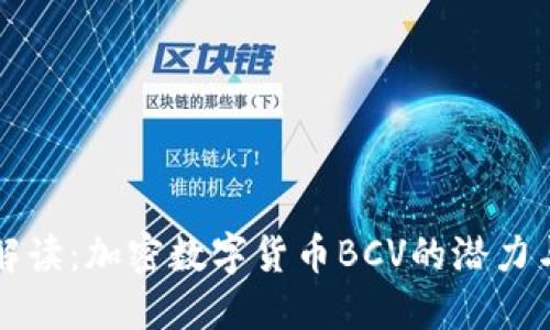 深入解读：加密数字货币BCV的潜力与未来