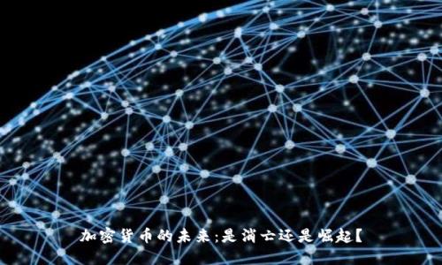 加密货币的未来：是消亡还是崛起？