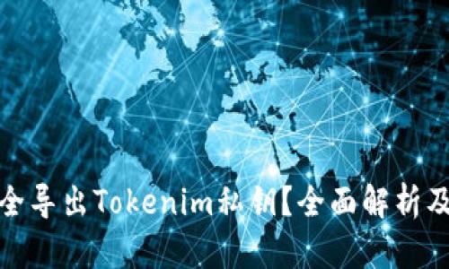 : 如何安全导出Tokenim私钥？全面解析及操作指南
