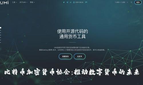 比特币加密货币协会：推动数字货币的未来