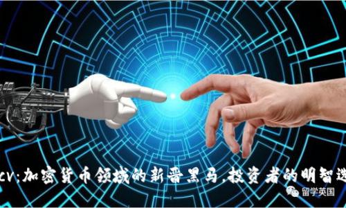 BTcv：加密货币领域的新晋黑马，投资者的明智选择