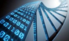 如何使用Tokenim钱包进行担保交易