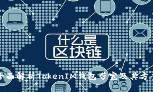 全面解析TokenIM钱包带宽及其方案