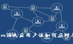 Tokenim消失后用户该如何应对与处理？