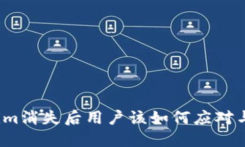 Tokenim消失后用户该如何应对与处理？
