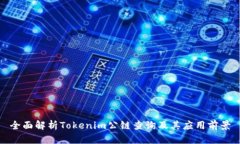 全面解析Tokenim公链查询及