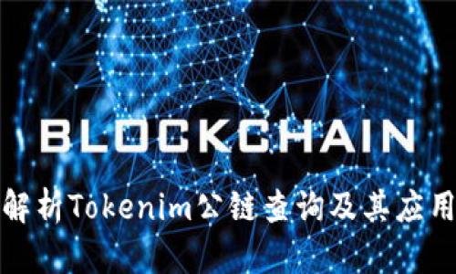 全面解析Tokenim公链查询及其应用前景