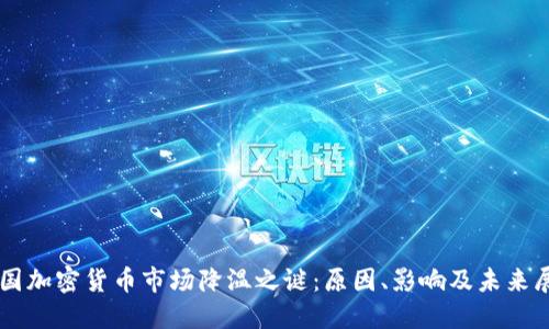 美国加密货币市场降温之谜：原因、影响及未来展望