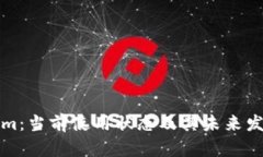 Tokenim：当前使用状态及其未来发展分析