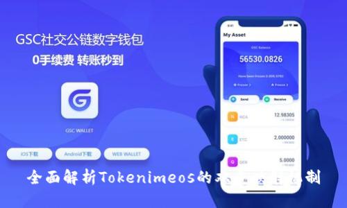 全面解析Tokenimeos的双重映射机制