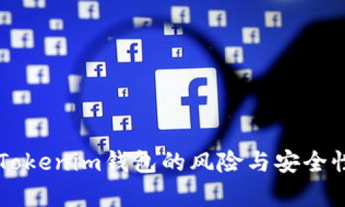 导入Tokenim钱包的风险与安全性分析